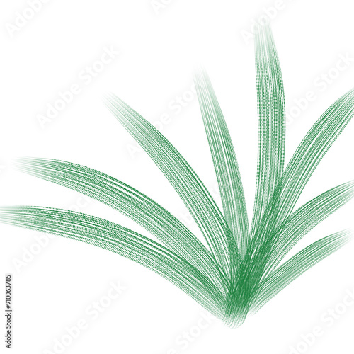 plant, green, leaf, nature, isolated, grass, fresh, white, food, spring, herb, wheat, flower, leaves, summer, abstract, agriculture, closeup, natural, macro, stem, beauty, botany, organic, 