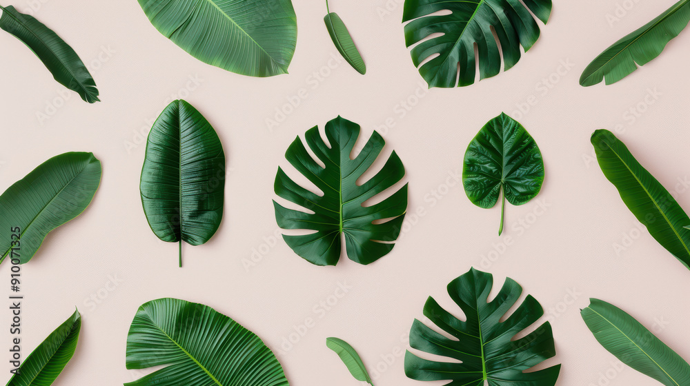 Tropical green leaves pattern laying on pink and green background Tropical green leaves pattern laying on pink and green background