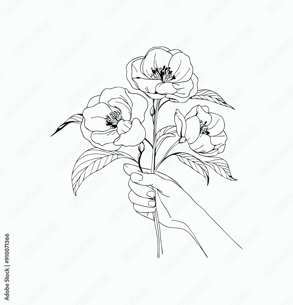 Obraz premium Simple hand drawn flowers outline drawing illustration