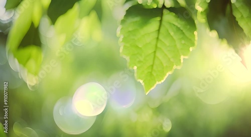 
Abstract nature scene with a fresh green leaf, glistening with morning dew, set against a dreamy bokeh background. Sunlight filters through the tree canopy photo