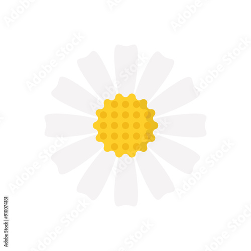 Chamomile vector icon