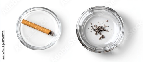 Ashtray with Cigarette Butt and Ashes