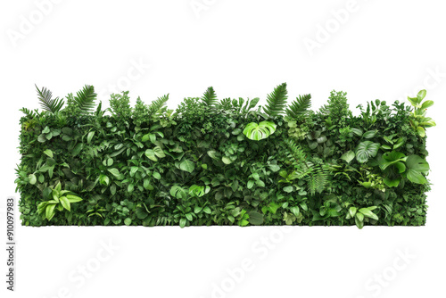 Sections of green vertical garden walls with various plants. PNG image