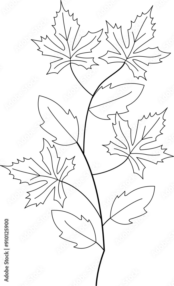 Leaf Branch Outline Element
