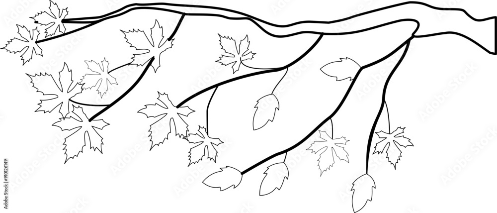 Obraz premium Leaf Branch Outline Element