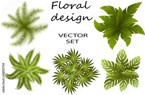 Top view of green leaves.Colored vector illustration with bushes from leaves on a white background.