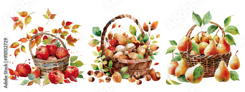 Watercolor illustrations of bountiful autumn harvest baskets filled with apples, nuts, and pears surrounded by falling leaves. Autumn Harvest Baskets Watercolor Illustration

