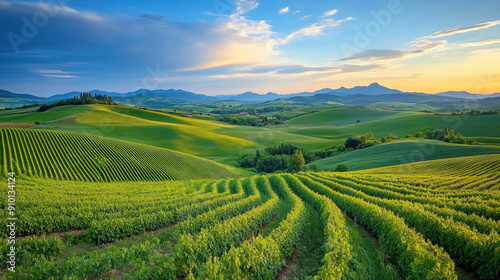 Wallpaper Mural Rainbow, vibrant arc over green fields Torontodigital.ca