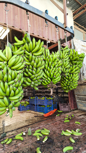 Industrial Factory For Sorting Banana Crop, Bunches Of Bananas Hung On Conveyor For Easy Sorting And Preparation For Sale, Vertical Frame. 