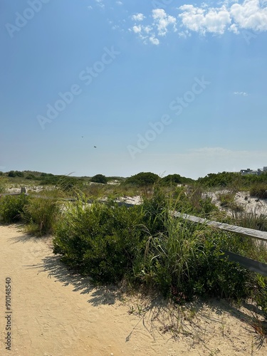 Beach Walk