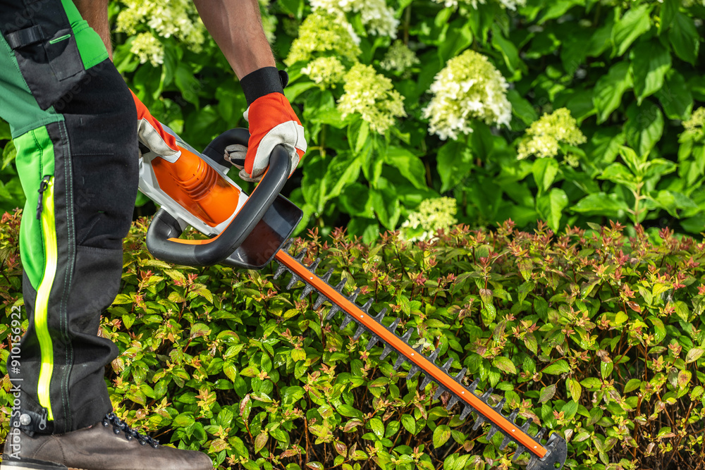Obraz premium Gardener Trimming Hedges With Electric Pruner in a Lush Garden