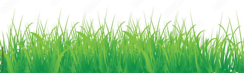 Fototapeta premium Realistic green grass.