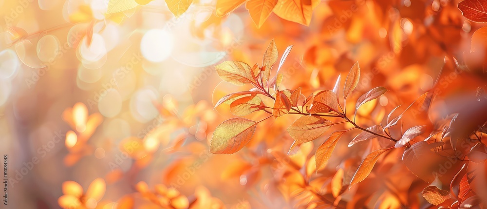 Close up of orange leaves on branches, foliage of trees, with bokeh, lights on blurred background. Scenic autumn, fall landscape with sunlight. Copy space. Generative ai Close up of orange leaves on branches, foliage of trees, with bokeh, lights on blurred background. Scenic autumn, fall landscape with sunlight. Copy space. Generative ai