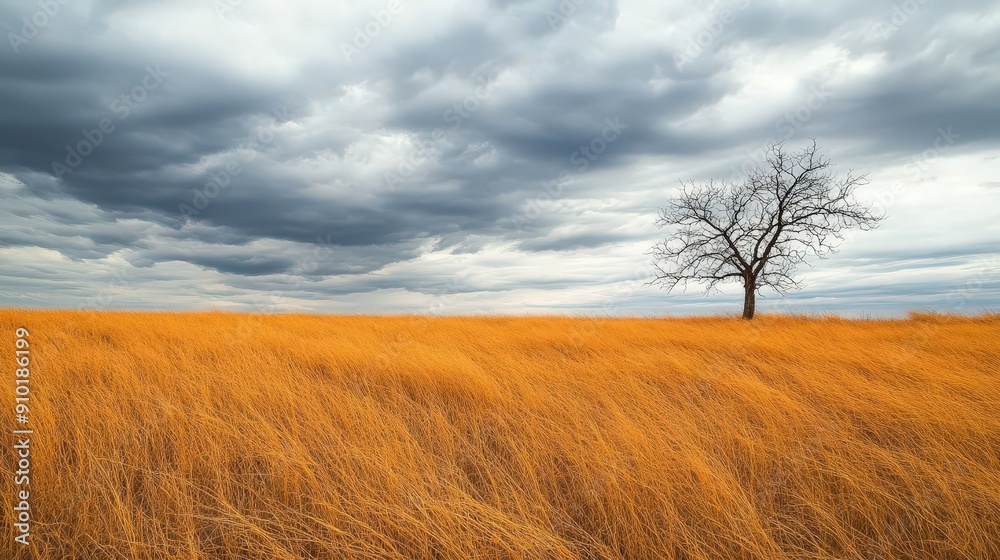 Fototapeta premium Golden Field with Lone Bare Tree Under Dramatic Overcast Skies