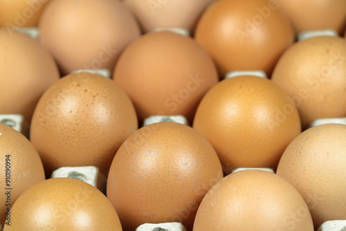 raw of chicken eggs in egg box in nature light