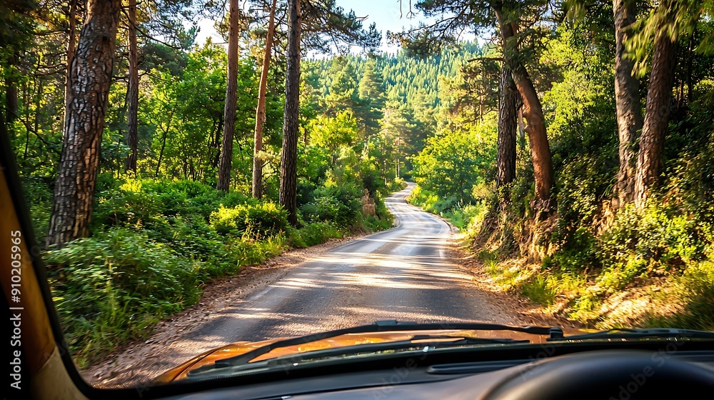 Obraz premium Winding asphalt path cuts through vibrant autumn woods, offering scenic countryside escape