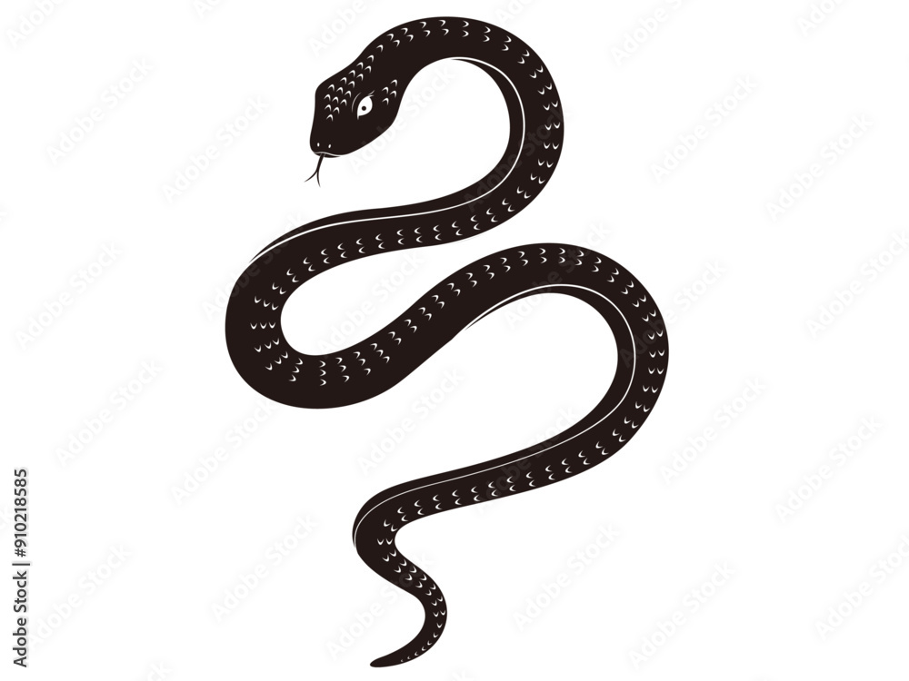 Obraz premium 干支・巳年・黒