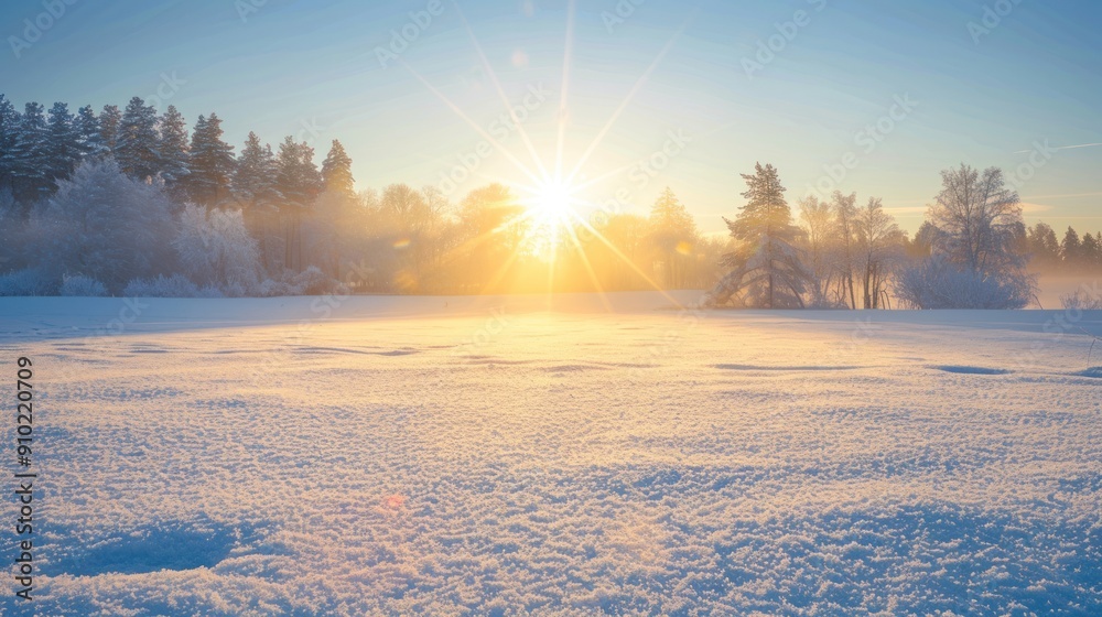 Winter Sunset Over Snowy Field Winter Sunset Over Snowy Field