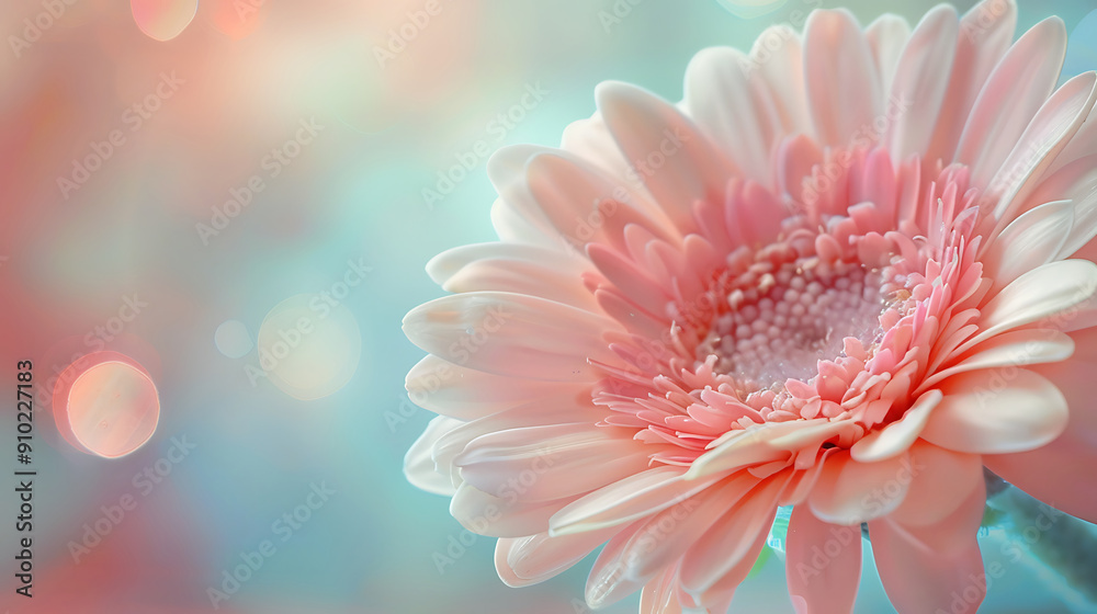 flower pattern flower pattern