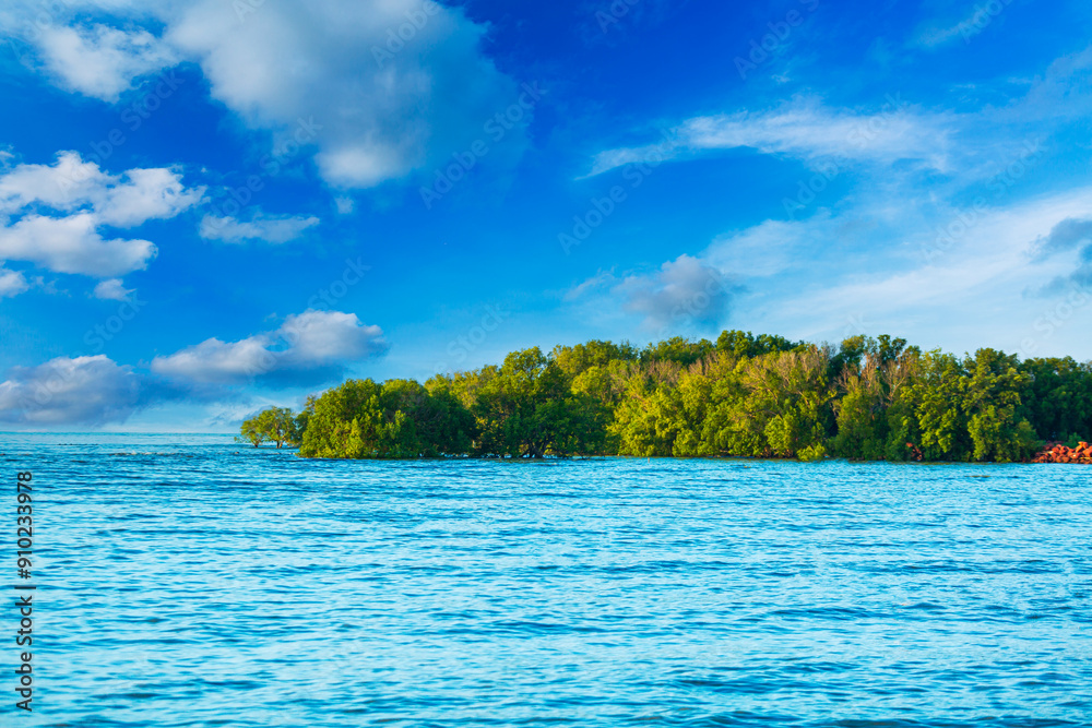 Coastal mangrove forests, Thailand,Tropical mangrove forest under sunlight with cloudy blue sky in phang nga bay, Thailand. Coastal mangrove forests, Thailand,Tropical mangrove forest under sunlight with cloudy blue sky in phang nga bay, Thailand.