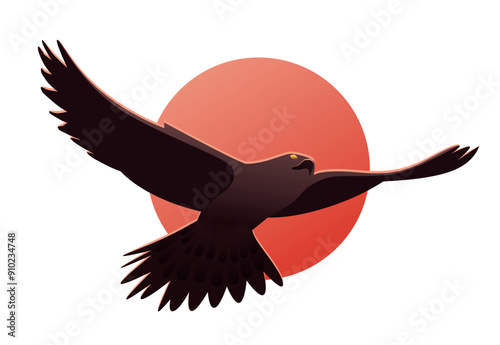 Flying hawk on the background of the red sun
