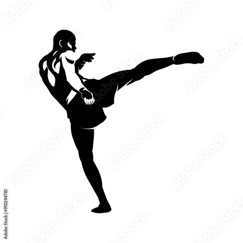 illustration of a muay thai silhouette fighter kicking