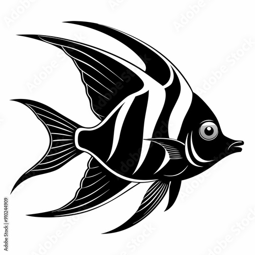 Angelfish Black silhouette