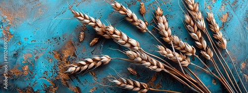  A tight shot of wheat bundles against a backdrop of blue and weathered metal Several wheat stalks occupy the foreground