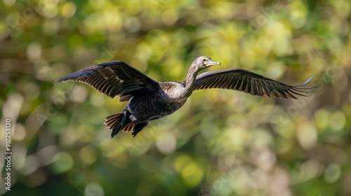  A close-up of a bird flying in the air with its wings spread