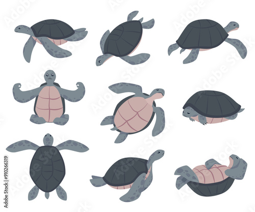 Set of cute sea or ocean turtle animal in different poses flat style