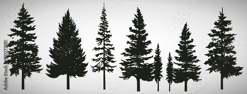pine trees vector flat illustration