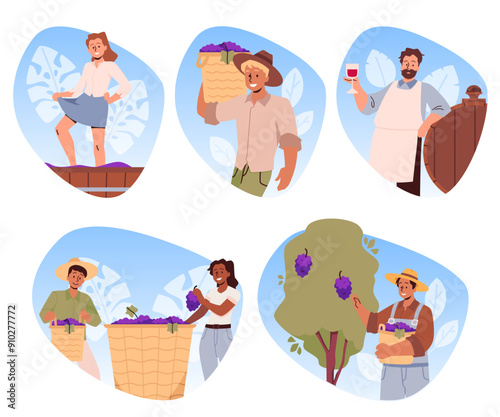 A set of vector illustrations on a white background with the stages of wine creation
