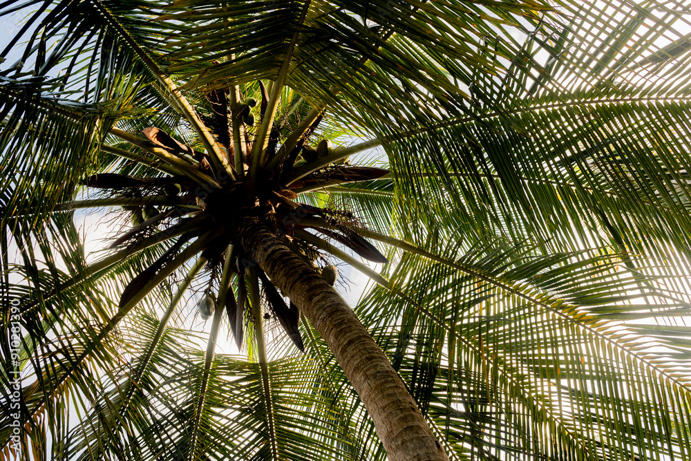 Fototapeta premium 2024-Colombie-2599