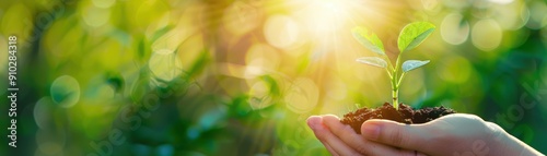 Close-up of hand holding a young plant with soil, symbolizing growth, care, and environmental conservation against a sunlit green background.