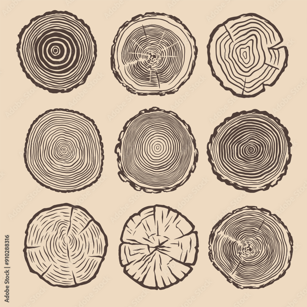 Growth ring illustration. Growth ring drawing. Growth ring tree hand drawn. Tree trunk cut illustration. Cut timber