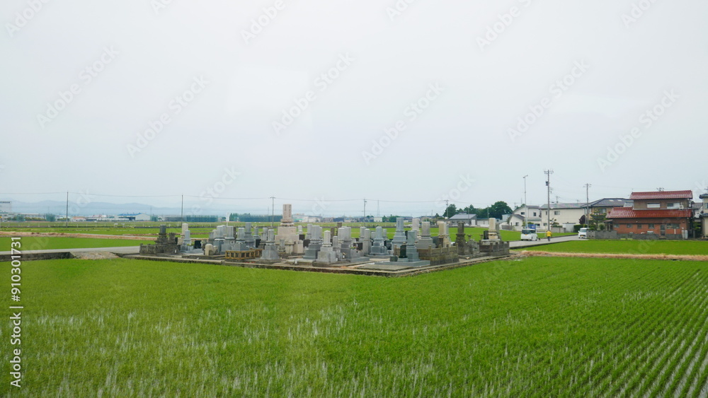 Glimpses of Japan, near Lake Biwa, from the Shinkansen Glimpses of Japan, near Lake Biwa, from the Shinkansen