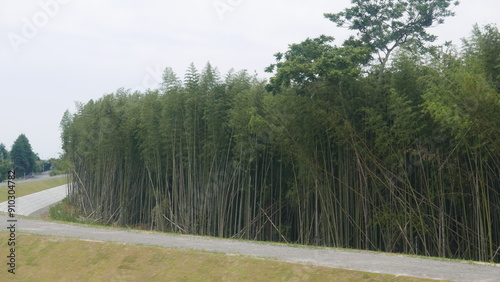 Glimpses of Japan, near Lake Biwa, from the Shinkansen