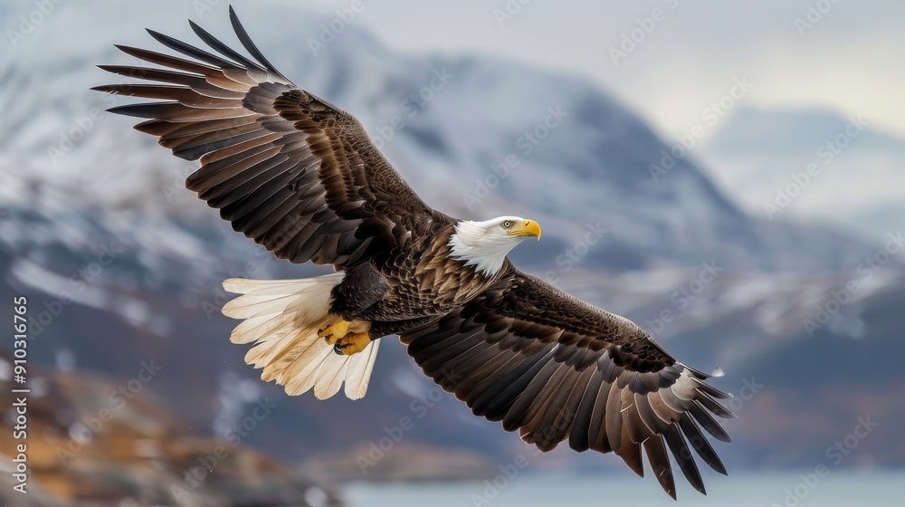 Bald Eagle Soaring Over Mountainous Landscape.