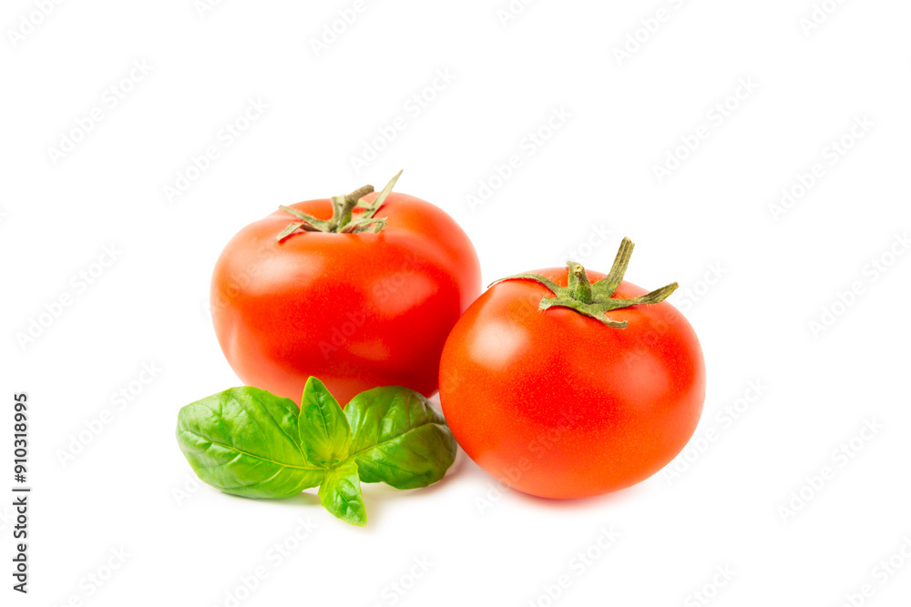 Fresh cherry tomatoes and fresh green basil isolated on white background. Tomato sauce. Vegan. Ingredients for salad. Organic food. Place for text. Copy space. Fresh cherry tomatoes and fresh green basil isolated on white background. Tomato sauce. Vegan. Ingredients for salad. Organic food. Place for text. Copy space.