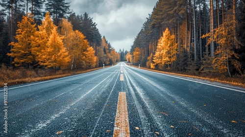 Autumn Road Through Forest.