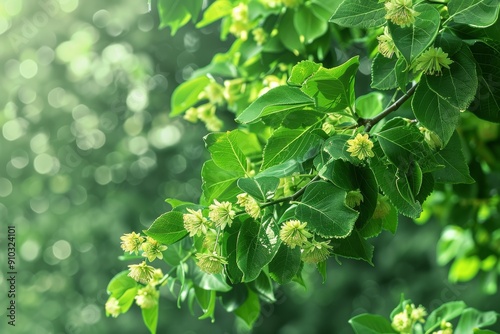 Close-up of a tree branch with young green leaves, blurred background. Spring foliage, macro photography.. Beautiful simple AI generated image in 4K, unique.