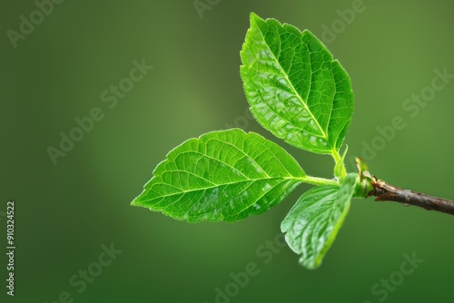 Vivid Green Young Leaves Unfurling on Dark Branch Close-Up View. Beautiful simple AI generated image in 4K, unique.