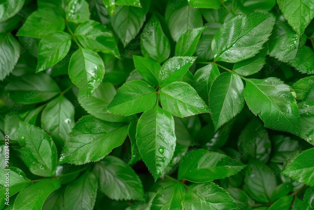 Vivid Green Young Leaves Unfurling on Dark Branch Close-Up View. Beautiful simple AI generated image in 4K, unique. Vivid Green Young Leaves Unfurling on Dark Branch Close-Up View. Beautiful simple AI generated image in 4K, unique.
