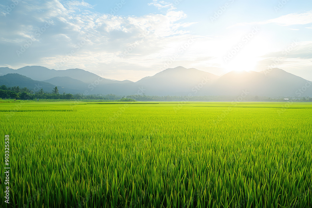 Fototapeta premium Serene Green Rice Field with Lush Mountains and a Golden Sunrise in the Distance