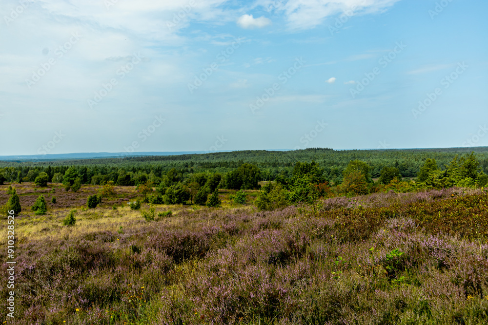 Ein herrliche Wanderung durch die einzigartige und farbenfrohe Landschaft der Behringer Heide - Bispingen - Niedersachsen - Deutschland Ein herrliche Wanderung durch die einzigartige und farbenfrohe Landschaft der Behringer Heide - Bispingen - Niedersachsen - Deutschland