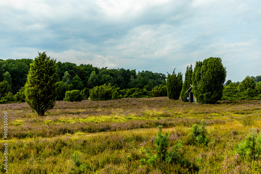 Ein herrliche Wanderung durch die einzigartige und farbenfrohe Landschaft der Behringer Heide - Bispingen - Niedersachsen - Deutschland Ein herrliche Wanderung durch die einzigartige und farbenfrohe Landschaft der Behringer Heide - Bispingen - Niedersachsen - Deutschland