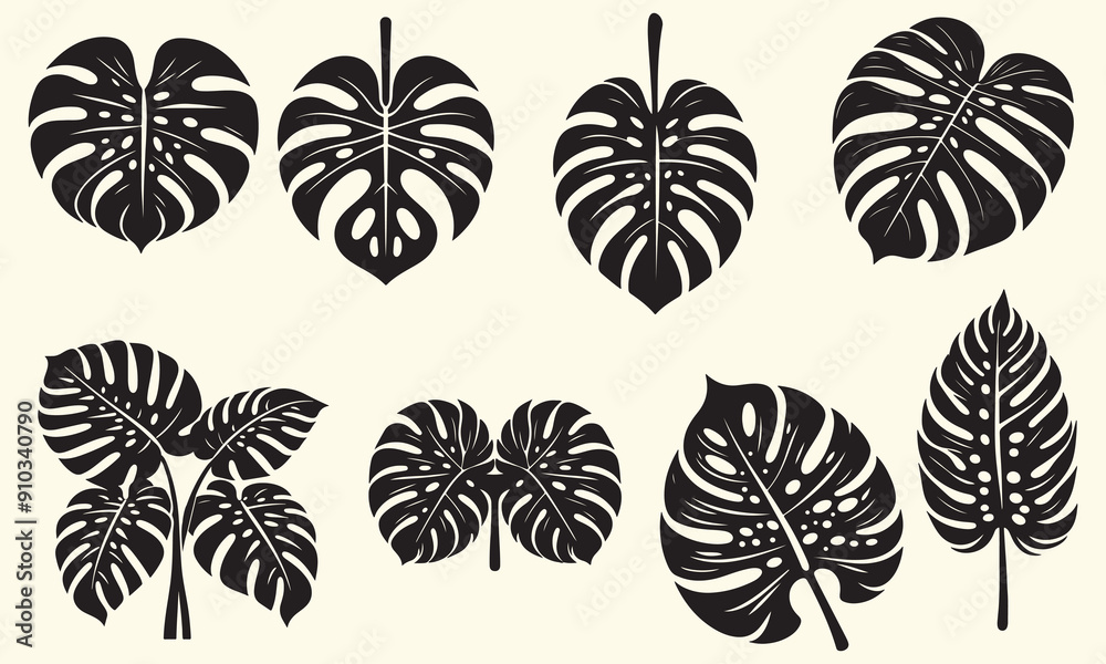 Monstera leaf image Silhouette Vector Illustration. Monstera leaf image Silhouette Vector Illustration.