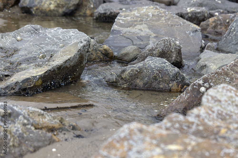 Stones on the beach Stones on the beach