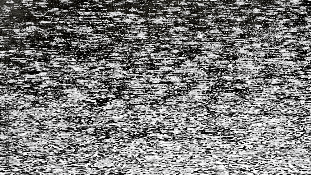 Fototapeta premium Numerous raindrops creating ripples on a water surface, showcasing the texture and pattern