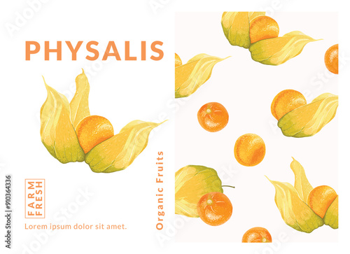 Ground cherry, Physalis packaging design templates, Hand drawn style vector illustration. Cape gooseberry.